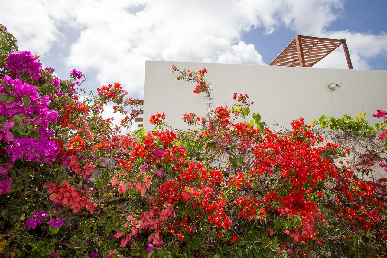 Bonaire Fun Apartments Exterior foto